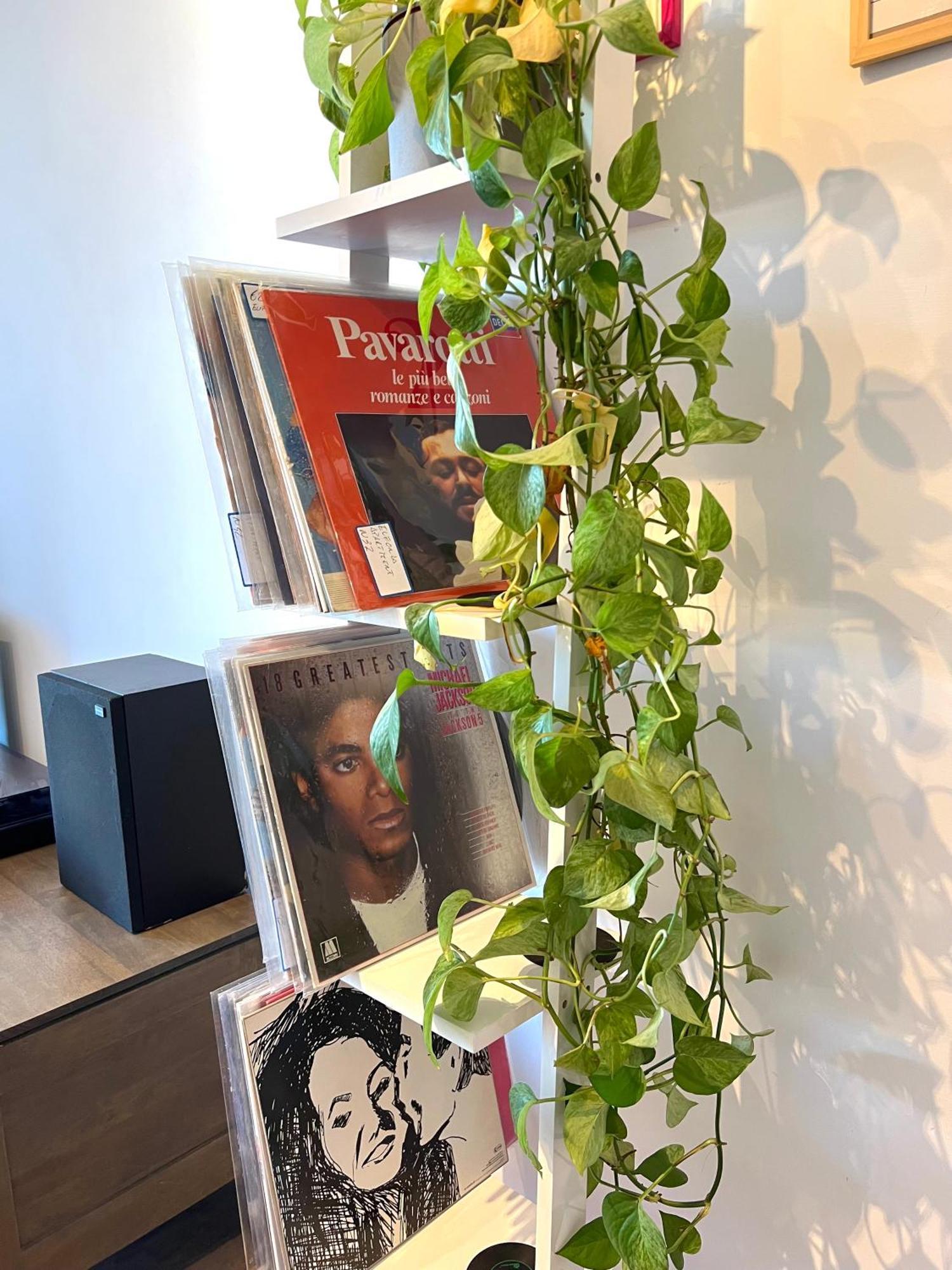 רומא Eufonia Vinyl Friendly Apartment מראה חיצוני תמונה