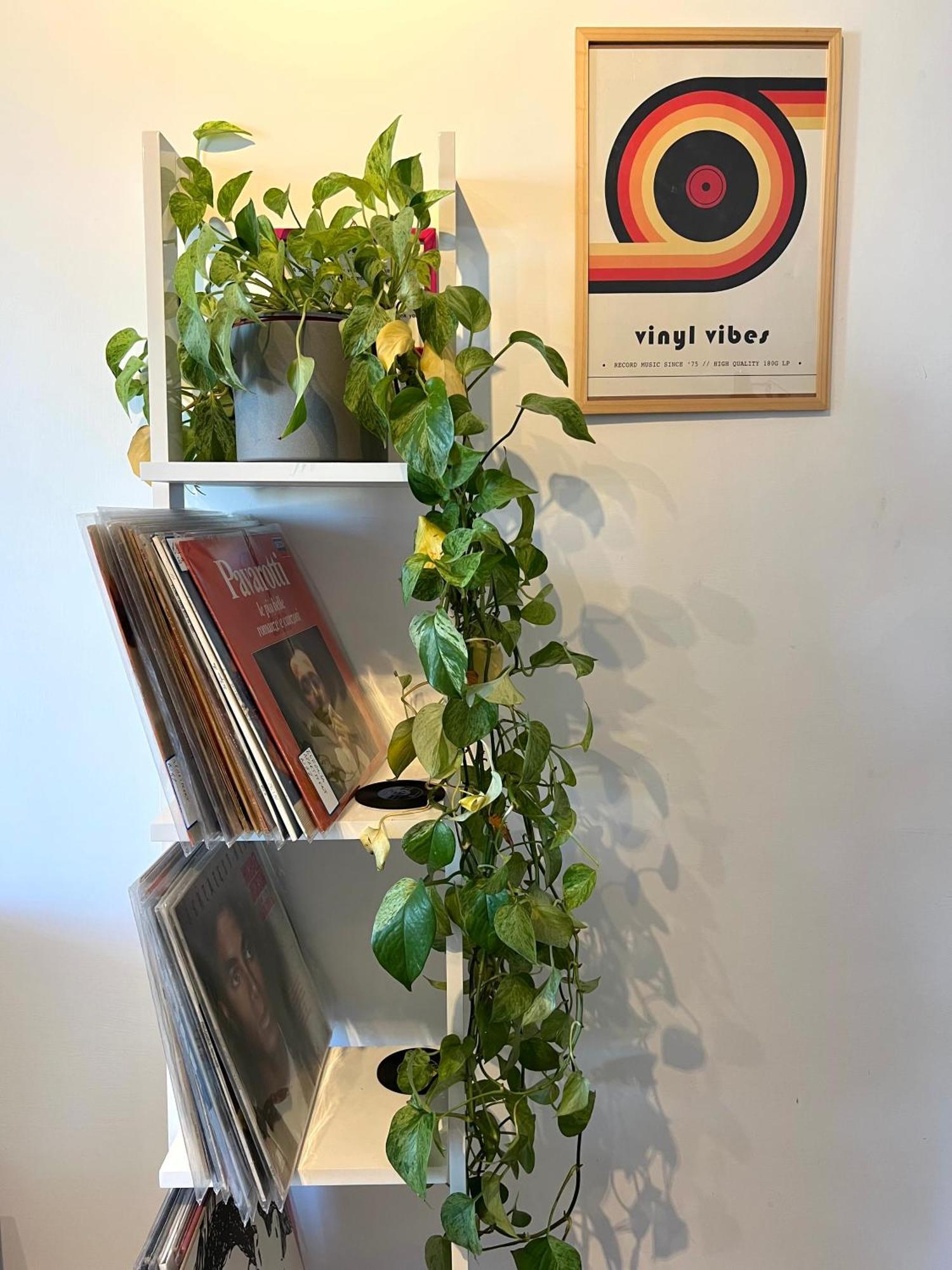 רומא Eufonia Vinyl Friendly Apartment מראה חיצוני תמונה